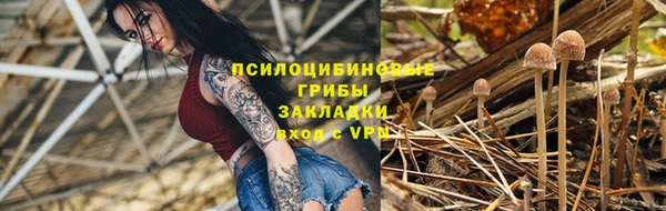 ешки Ленинск-Кузнецкий