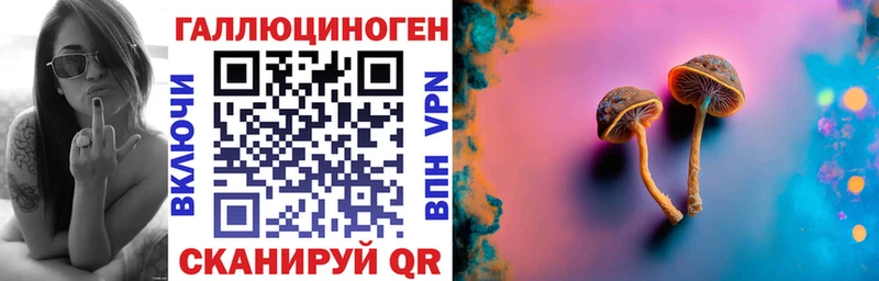 Псилоцибиновые грибы Psilocybe  Суворов 
